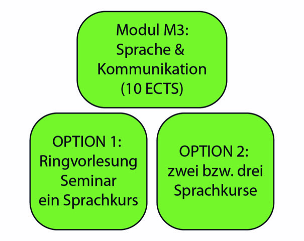 M3 Optionen